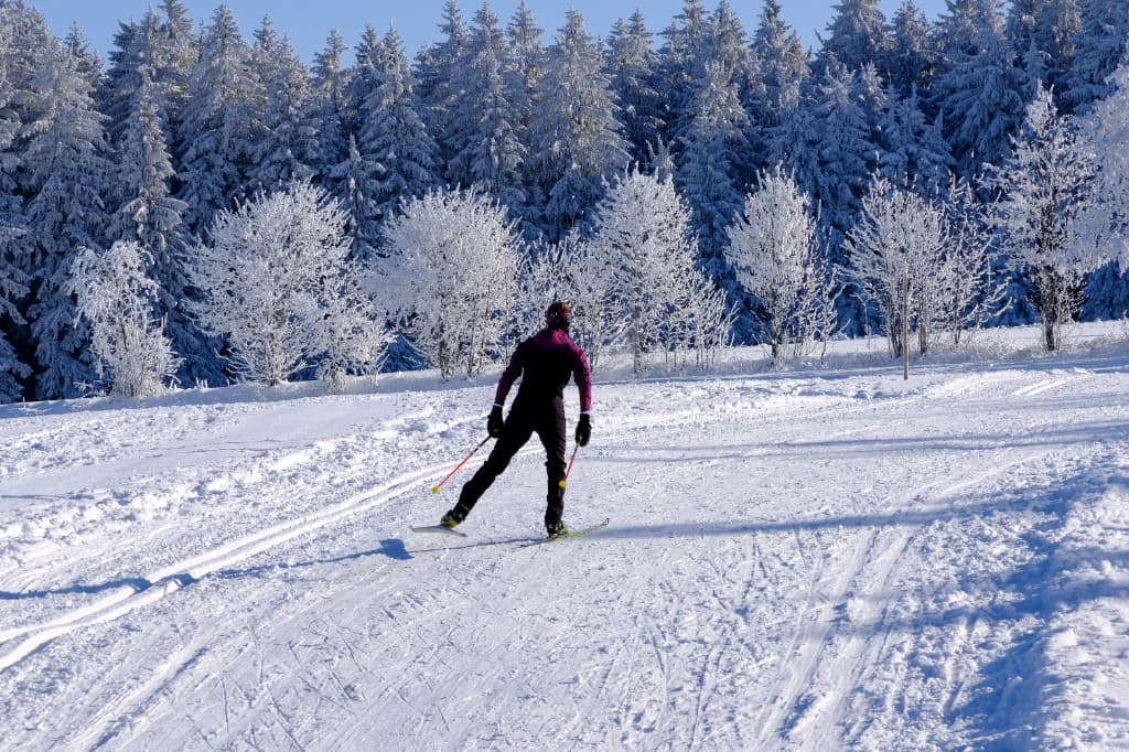 Cross-country skier skate skiing on a groomed trail through a frosted forest
